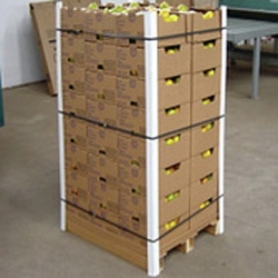 Agriculture products in boxes protected with cardboard edgeboards